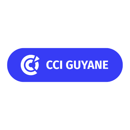 Logo CCI Guyane - client Ginger Consulting