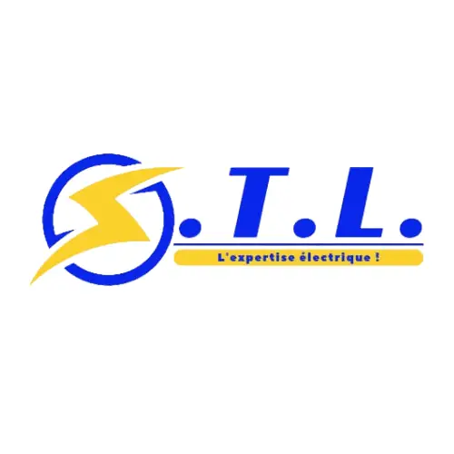 Logo STL - client Ginger Consulting